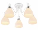 Ambrella TR303305 Светильник потолочный E27*5 max 60W D600*270