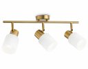 Ambrella TR3972 Настенно-потолочный спот E27*3 max 40W 460*80*140
