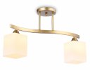 Ambrella TR303119 Светильник подвесной E27/2 max 40W 500*120*300