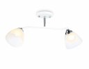 Ambrella TR303001 Светильник подвесной E27/2 max 40W 560*140*240