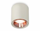 Ambrella XS7724005 Комплект накладного светильника SGR/PPG