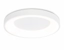 Ambrella FZ1401 Потолочный светодиодный светильник IP20 48W 3000K-6500K