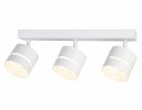 Ambrella TN71062 Светильник накладной GX53/3 max 12W 405*85*150