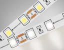 Ambrella GS4002 Светодиодная лента 5050 60Led/ 14.4W m/ 24V IP20