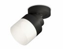 Ambrella XM8102021 Комплект накладного поворотного светильника с акрилом SBK/FR