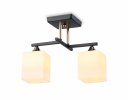 Ambrella TR303112 Светильник подвесной E27/2 max 40W 360*190*290