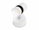 Ambrella TN101/5W WH/BK Накладной светодиодный светильник