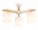 Ambrella TR83112 Подвесная люстра E27/3 max 40W D580*320