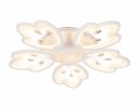 Ambrella FA510 Потолочный светодиодный светильник с пультом и подсветкой 140W+28W
