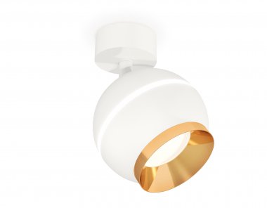 Фотография товара 'Ambrella XM1101004 Комплект поворотного светильника с дополнительной подсветкой SWH/PYG'