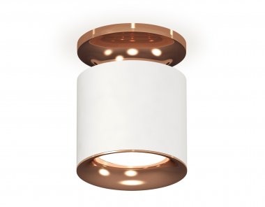 Фотография товара 'Ambrella XS7401142 Комплект накладного светильника SWH/PPG'