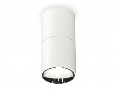 Фотография товара 'Ambrella XS6301081 Комплект накладного светильника SWH/PSL'