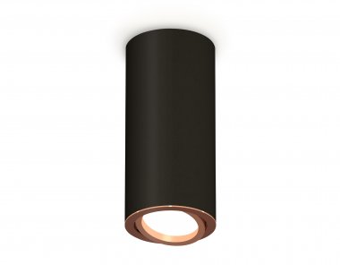 Фотография товара 'Ambrella XS7443005 Комплект накладного светильника SBK/PPG'