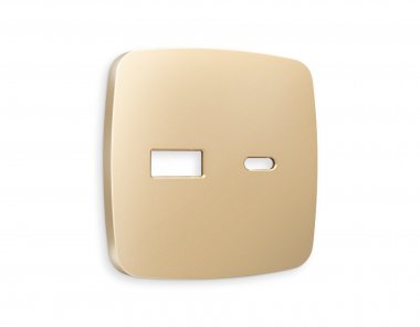 Фотография товара 'Ambrella OP6110 Лицевая панель OMEGA (Шампань) для розетки 2USB'