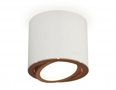 Фотография товара 'Ambrella XS7401005 Комплект накладного поворотного светильника SWH/PPG'