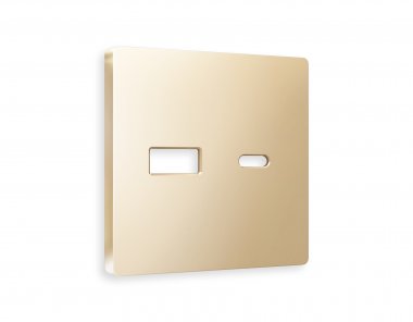 Фотография товара 'Ambrella AP6110 Лицевая панель ALFA (Шампань) для розетки 2USB'