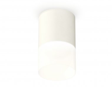 Фотография товара 'Ambrella XS6301065 Комплект накладного светильника SWH/FR'