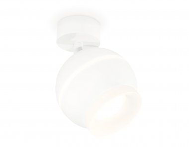 Фотография товара 'Ambrella XM1101017 Комплект поворотного светильника с дополнительной подсветкой SWH/FR'