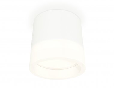 Фотография товара 'Ambrella XS8110001 Комплект накладного светильника с акрилом SWH/FR'