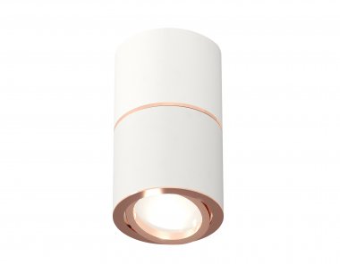 Фотография товара 'Ambrella XS7401220 Комплект накладного поворотного светильника SWH/PPG'