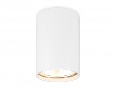 Фотография товара 'Ambrella TN213101 Накладной точечный светильник GU5.3 WH белый'