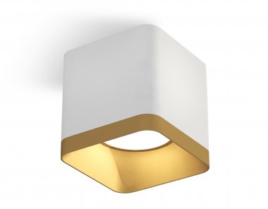 Фотография товара 'Ambrella XS7805004 Комплект накладного светильника SWH/SGD'