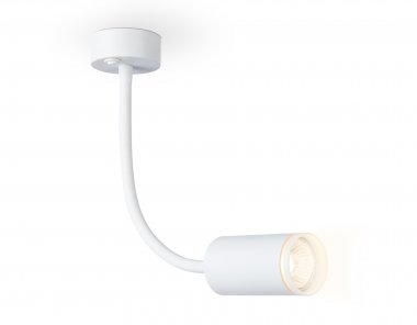 Фотография товара 'Ambrella FW2469 Светильник настенный с выключателем GU10 max 12W D55*L100*H300'