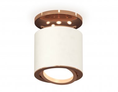 Фотография товара 'Ambrella XS7401140 Комплект накладного поворотного светильника SWH/PPG'