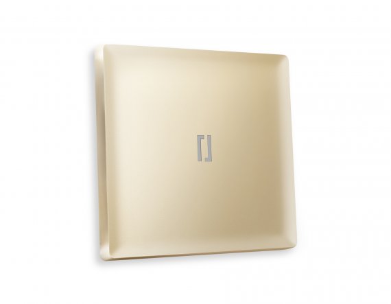 Фотография товара 'Ambrella AP6020 Лицевая панель ALFA (Шампань) для 1-клавишных выключателей'