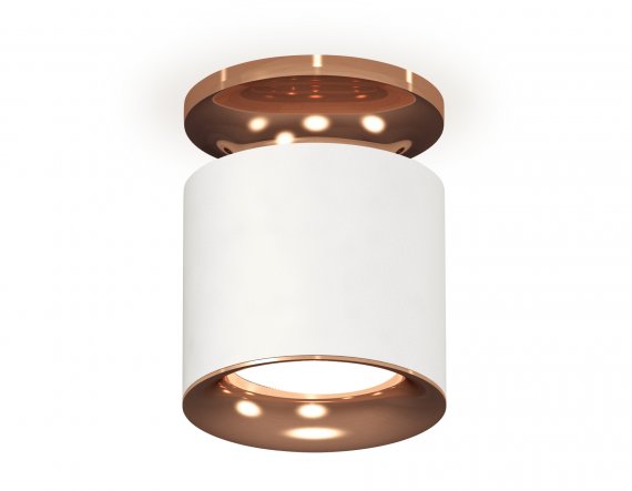 Фотография товара 'Ambrella XS7401142 Комплект накладного светильника SWH/PPG'