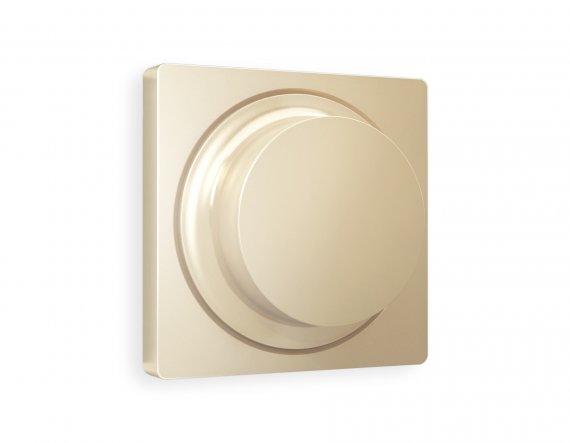 Фотография товара 'Ambrella AP6055 Лицевая панель ALFA (Шампань) для светорегулятора универсального'