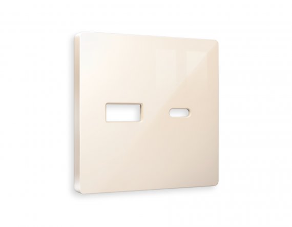 Фотография товара 'Ambrella AP3110 Лицевая панель ALFA (Бежевый глянец) для розетки 2USB'