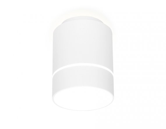 Фотография товара 'Ambrella TN256 Накладной светодиодный точечный светильник WH/S'