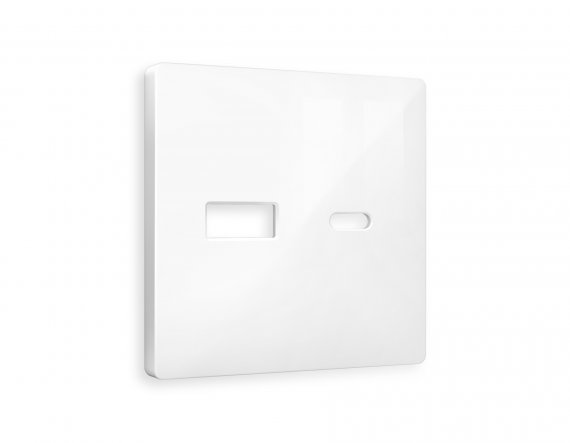 Фотография товара 'Ambrella AP1110 Лицевая панель ALFA (Белый глянец) для розетки 2USB'