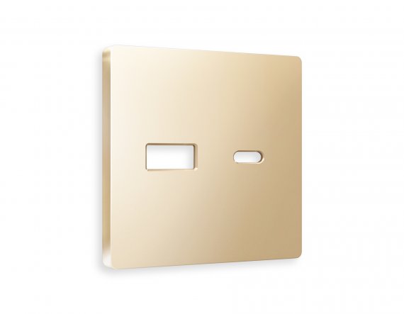 Фотография товара 'Ambrella AP6110 Лицевая панель ALFA (Шампань) для розетки 2USB'