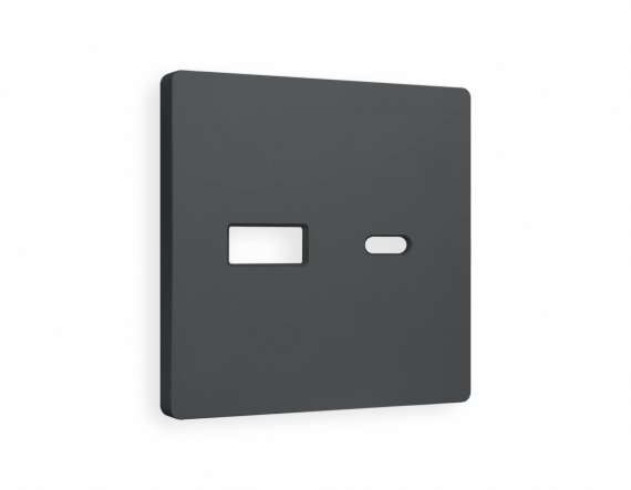 Фотография товара 'Ambrella AP9110 Лицевая панель ALFA (Графит Мягкое касание) для розетки 2USB'