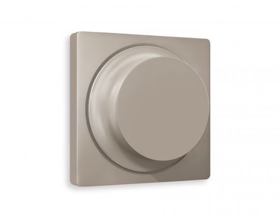 Фотография товара 'Ambrella AP3655 Лицевая панель ALFA (Серо-бежевый матовый) для светорегулятора'