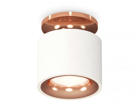 Фотография товара 'Ambrella XS7510141 Комплект накладного светильника SWH/PPG'