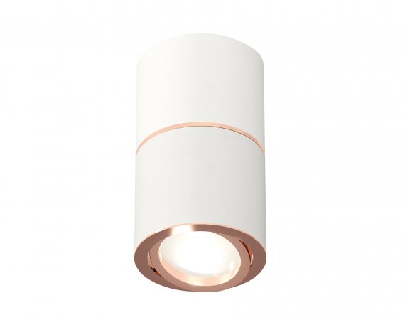 Фотография товара 'Ambrella XS7401220 Комплект накладного поворотного светильника SWH/PPG'