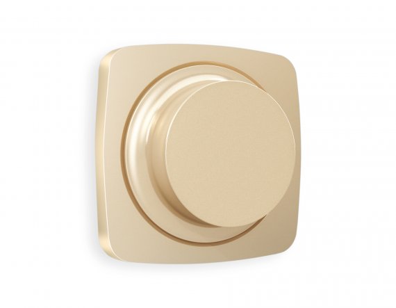 Фотография товара 'Ambrella OP6055 Лицевая панель OMEGA (Шампань) для светорегулятора'