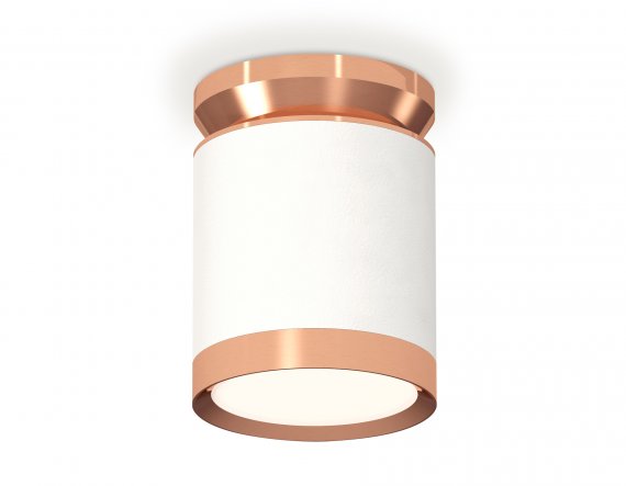 Фотография товара 'Ambrella XS8141035 Комплект накладного светильника SWH/PPG'