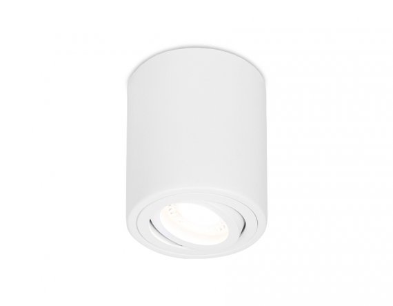 Фотография товара 'Ambrella TN225 Накладной поворотный точечный светильник WH белый'