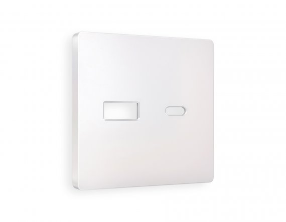 Фотография товара 'Ambrella AP2110 Лицевая панель ALFA (Жемчуг) для розетки 2USB тип A+C'