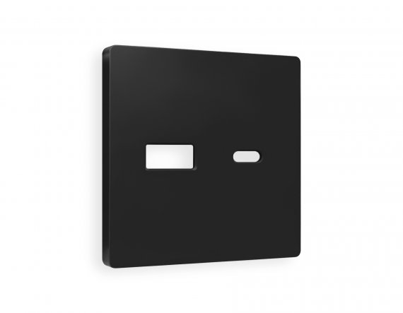 Фотография товара 'Ambrella AP8110 Лицевая панель ALFA (Черный матовый) для розетки 2USB'