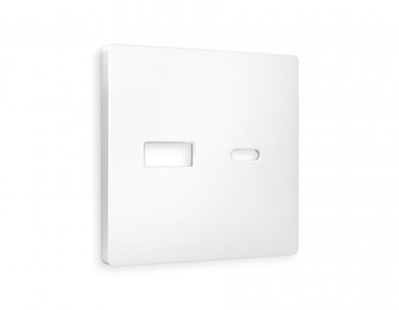 Фотография товара 'Ambrella AP1310 Лицевая панель ALFA (Белый матовый) для розетки 2USB'