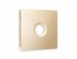 Фотография товара 'Ambrella AP6130 Лицевая панель ALFA (Шампань) для TV розетки'