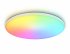 Фотография товара 'Ambrella FZ2002 Потолочный светодиодный светильник с Wi-Fi Яндекс Алисой/Tuya/Smart Home/Alexa'